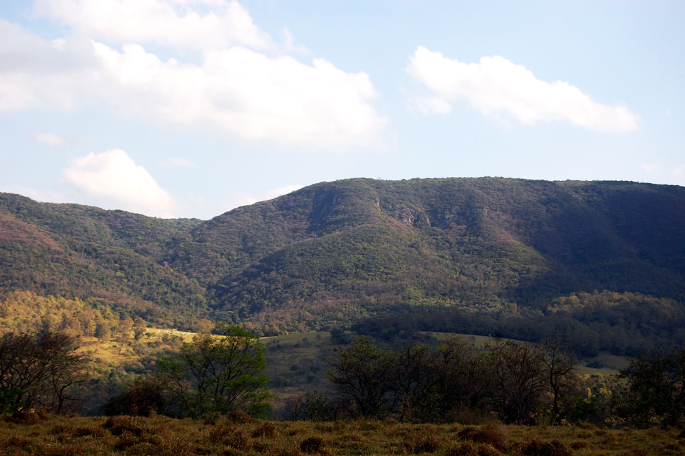Serra-do-Japi A Serra do Japi representa uma das últimas grandes áreas de floresta contínua do estado de São Paulo e é o testemunho de uma flora e fauna rica e exuberante que existiam em grande parte da região sudeste do Brasil