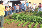 II Jornada sobre agricultura irrigada na bacia do rio Jundiaí-Mirim