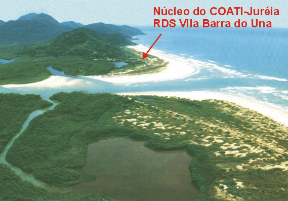 Núcleo de Atividades do COATI-Juréia Núcleo de Atividades do COATI-Juréia