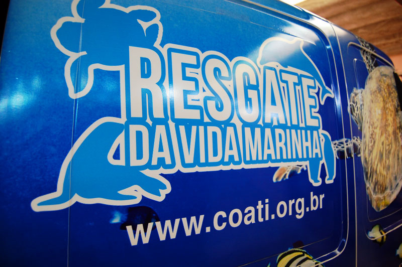 Resgate da Vida Marinha inicia neste semestre