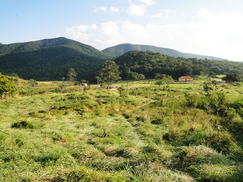 Visitação monitorada recomeça pela Fazenda Ribeirão