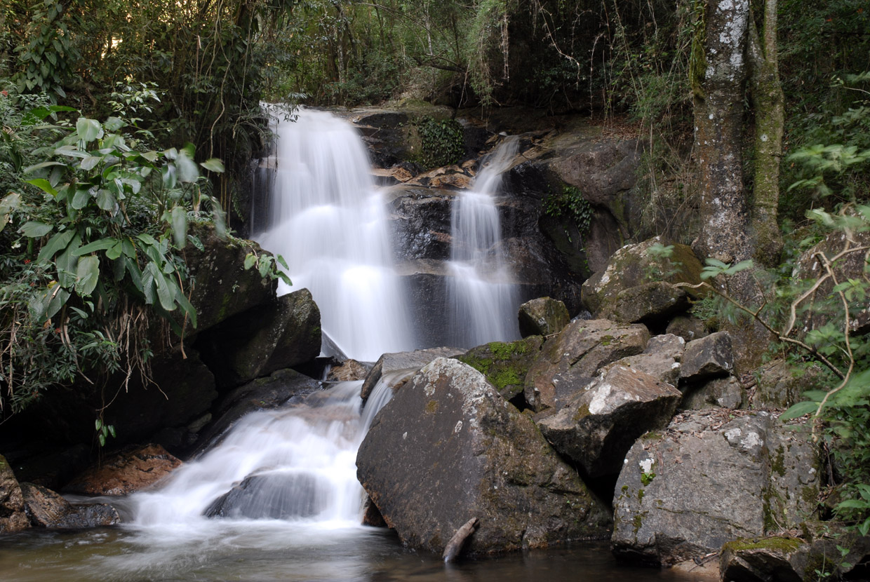 Programação do Mês do Meio Ambiente em Jundiaí