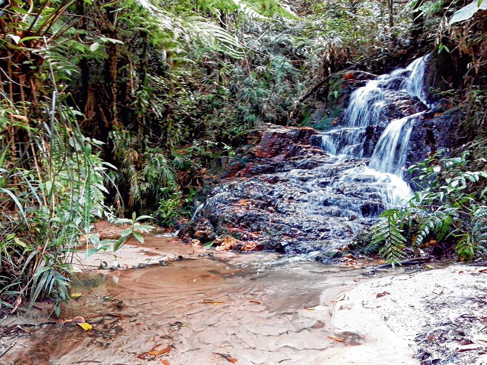 Potencial hídrico da Serra do Japi ganha destaque no JJ Regional