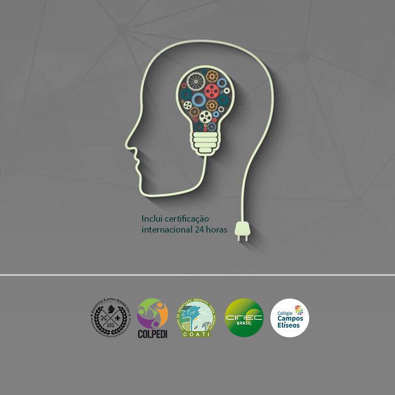 II Seminário Inovação e Metodologias Alternativas de Ensino