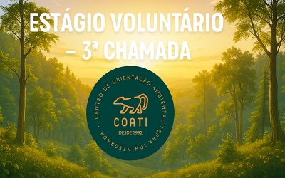 Estágio Voluntário – 3ª Chamada