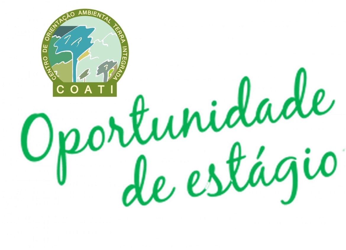 Estágio Voluntário – 2º semestre de 2022