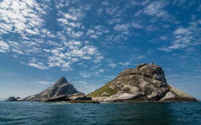 Manifesto pela Preservação de Alcatrazes – COATI 30 ANOS