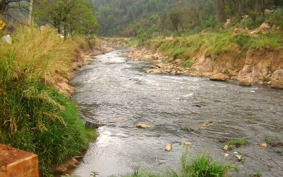 Coati de Jundiaí anuncia o projeto de educação ambiental ‘Água Viva’ 